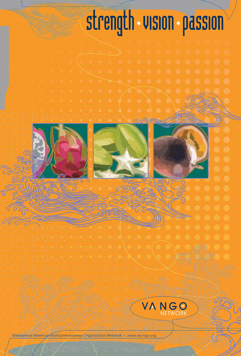 VA-NGO poster 1